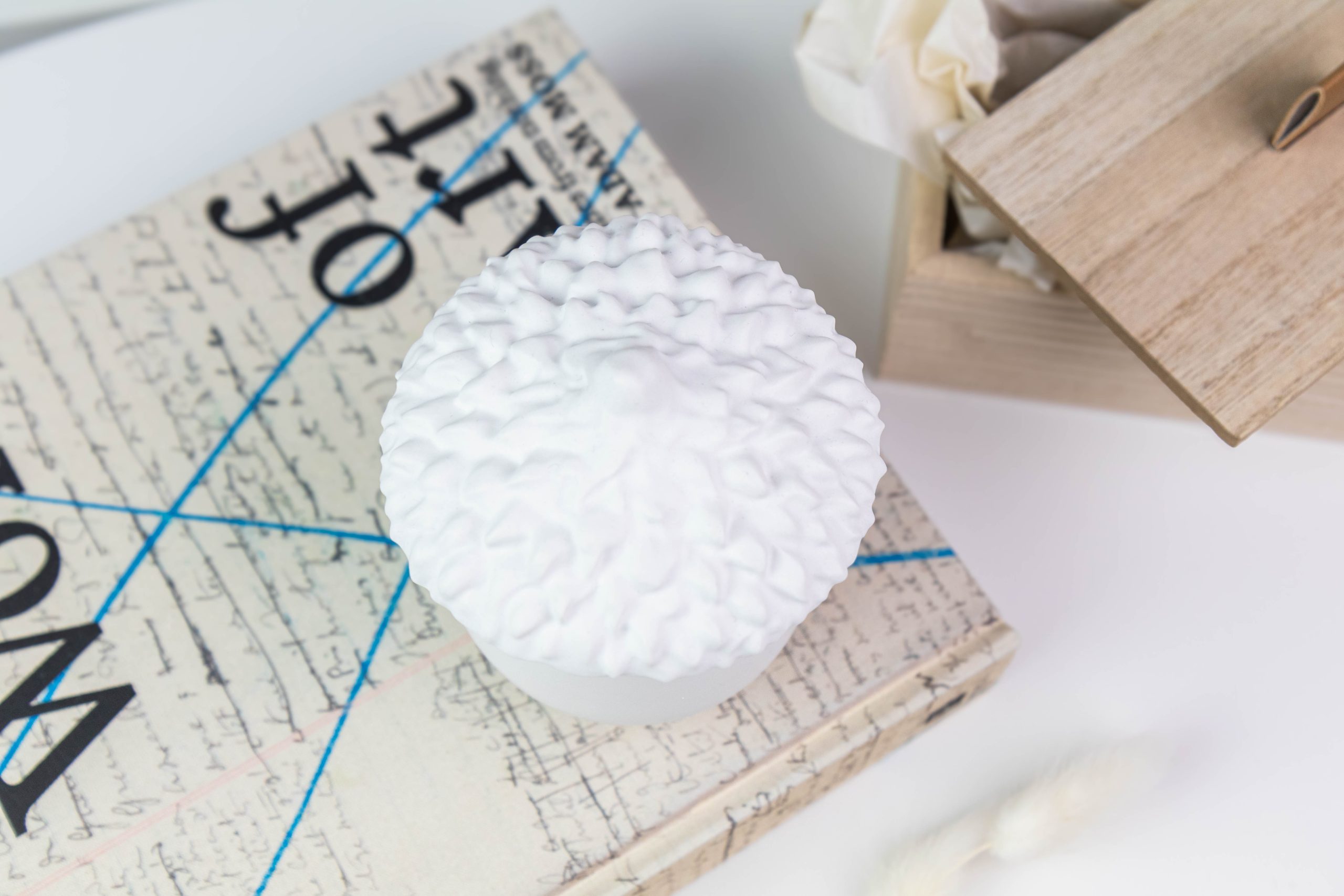 Acorn With A Lid - Image 3