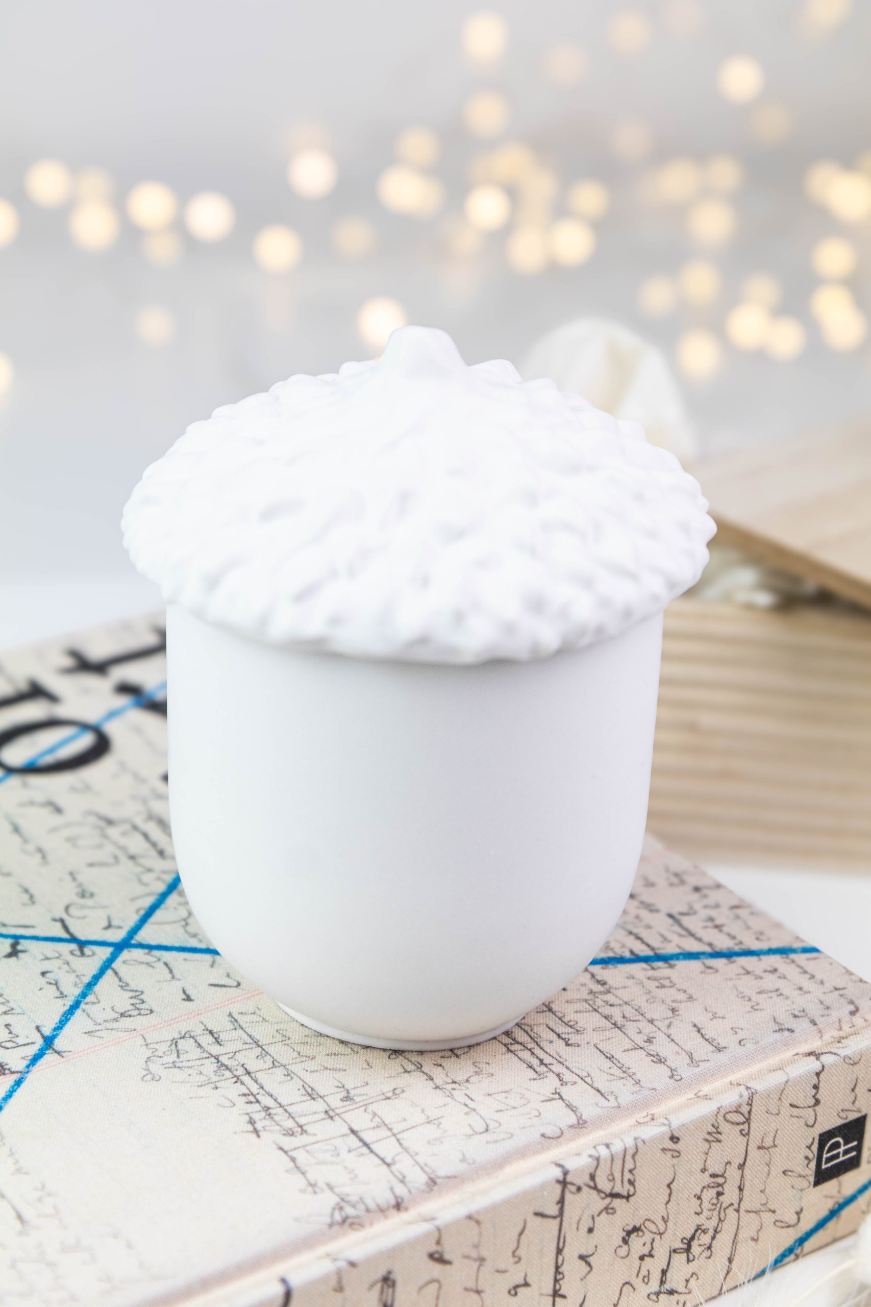 Acorn With A Lid - Image 2